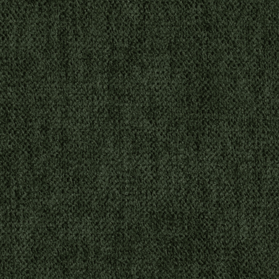Sensation Spinach