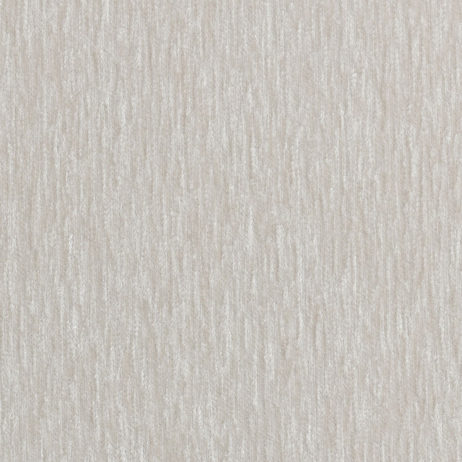 Cielo Oyster