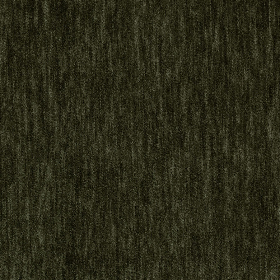 Cielo Spinach